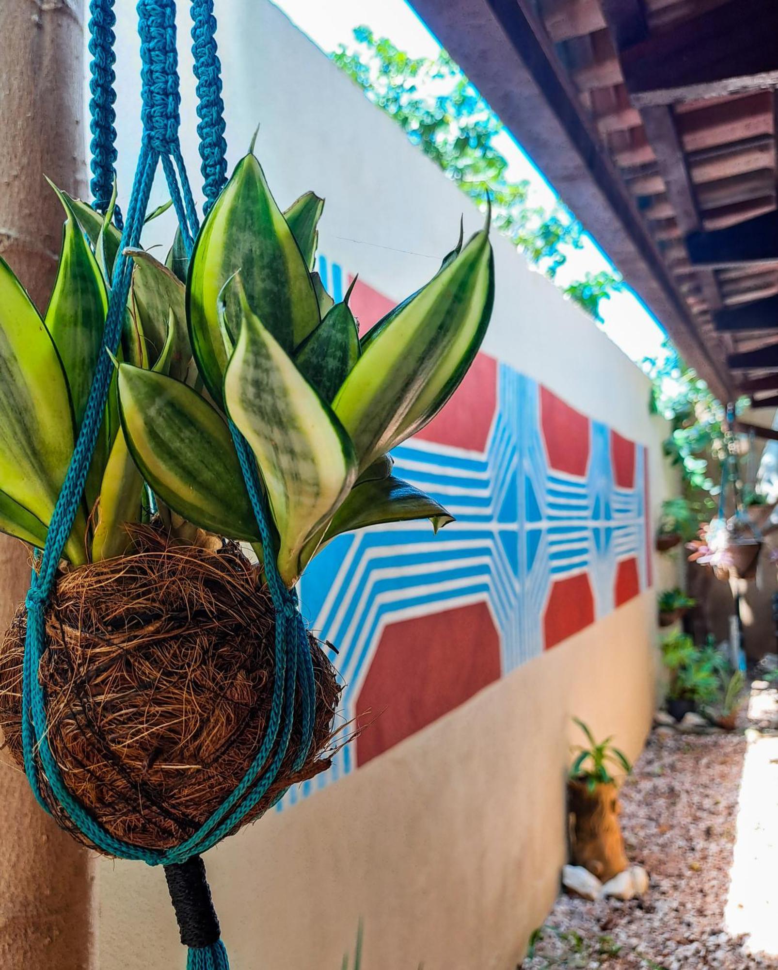 Savana Hostel São Jorge المظهر الخارجي الصورة